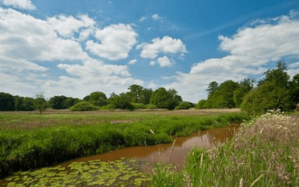 Wandelen bij Balkbrug