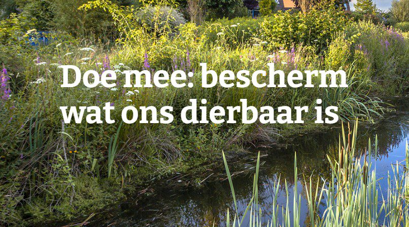 Bescherm wat ons dierbaar is